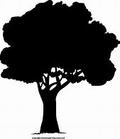 Image result for Willow Tree Silhouette