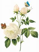 Image result for Free Clip Art Flowers Roses