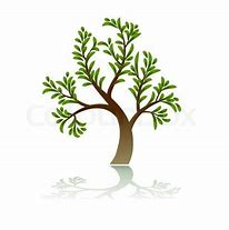 Image result for Green Tree Drawing