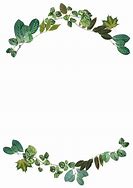 Image result for Border Frame Design Green Flower