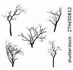 Image result for Dead Tree Branch Texture