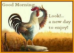 Image result for Funny Baby Chicken Monday Quotes