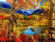 Image result for Desktop Backgrounds Seasons