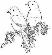 Image result for Black Outline of a Bird On a Branch