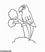 Image result for Bird On Branch Coloring Page