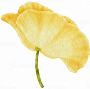 Image result for Yellow Poppy Banner