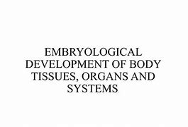 Image result for Organ Development Landmark Chart in Human