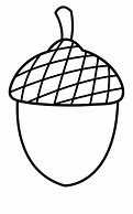 Image result for Acorn Drawing