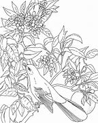 Image result for Flower Coloring Pages with Birds