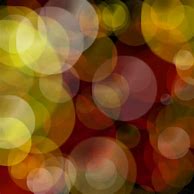 Image result for Bokeh Background Nature