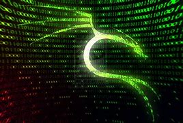 Image result for Kali Linux Hacker Backgrounds