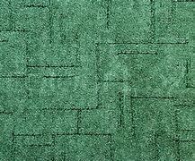 Image result for Green Carpet for Inside