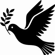 Image result for Black and White Dove Olive Branch