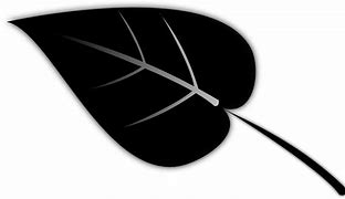 Image result for Six Leaf Plant Silhouette