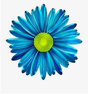 Image result for Teal Flower Pics Clip Art