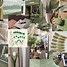 Image result for Green Aesthetic Tumblr Collage