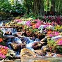 Image result for Amazing Autumn