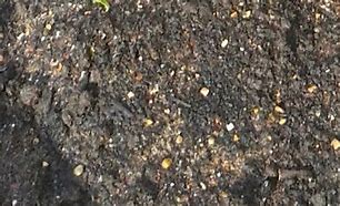 Image result for Soil