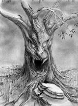 Image result for Scary Tree Pencil Drawing