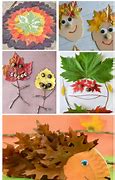 Image result for Leaf for Kids