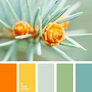 Image result for Light Blue Color Pallet