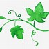 Image result for Leaves Silhouette Vector