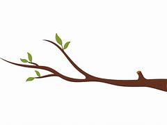 Image result for Branch Coloring Cartoons