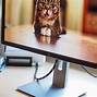 Image result for 24 Inch Monitor Background