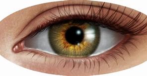 Image result for Human vs Robot Eyes