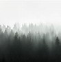 Image result for Forest Wallpaper