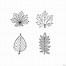 Image result for Leaves Vector Free