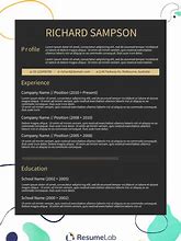 Image result for Resume Templates for Microsoft Word Free