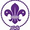 Image result for Fleur De Lis Scout Symbol