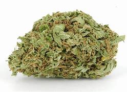 Image result for Indica Kush Strain