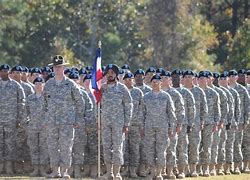 Image result for Platoon Guidon Army