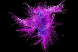 Image result for Blender Generative Organic Art