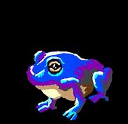 Image result for Blue Red Eyed Tree Frog