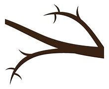 Image result for tree branches clip art