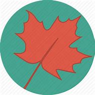 Image result for Individual Fall Leaves