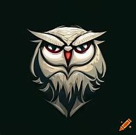 Image result for Animated Logo of an Owl Angry