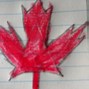 Image result for Field Maple Leaf Outline