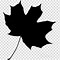 Image result for Maple Leaf Silhouette Vector