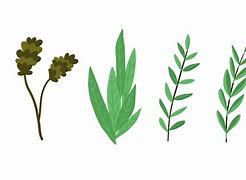 Image result for Simple Flower Leaf SVG