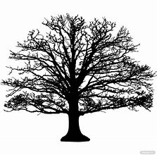 Image result for Oak Tree SVG