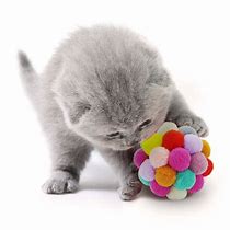 Image result for Cat Scratcher Ball