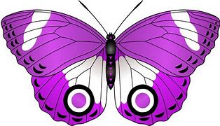 Image result for Butterfly Ears Logo