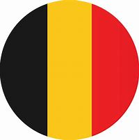 Image result for Flag Icon PNG