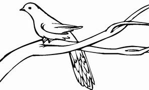 Image result for Coloring Page of Branch