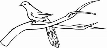 Image result for Branch Coloring Page for Kids