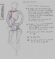 Image result for Rib Cage and Pelvis